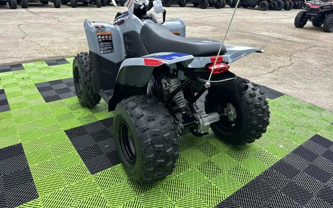 2026 Polaris Phoenix 200