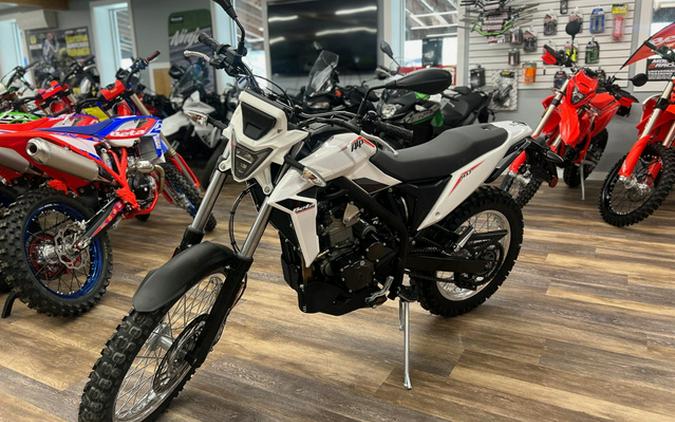2026 Beta Motorcycles Alp 350