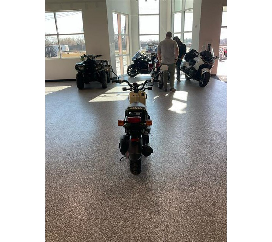 2024 Honda Ruckus