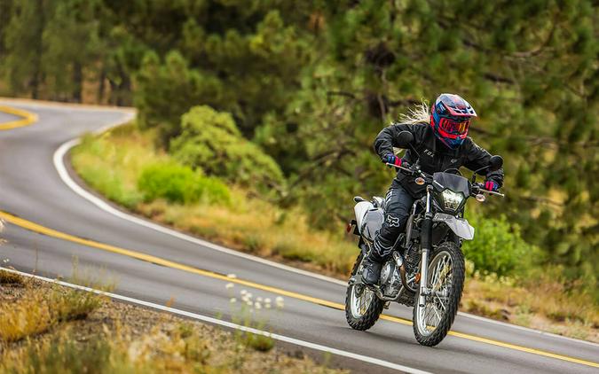 2023 Kawasaki KLX 230 S