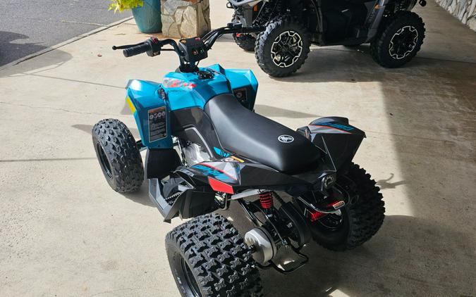 2026 Can-Am Renegade 110 EFI