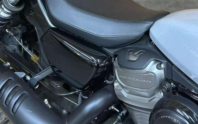 2024 Harley-Davidson Nightster