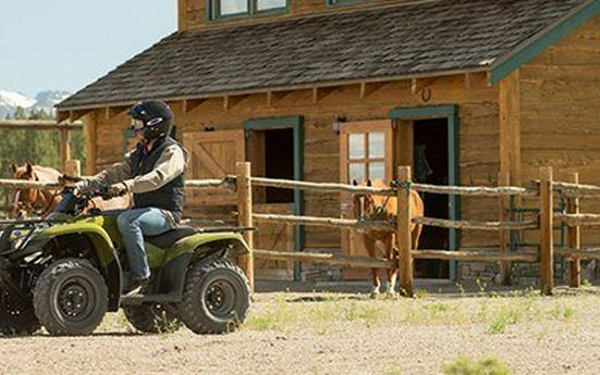 2016 Honda FourTrax Rincon