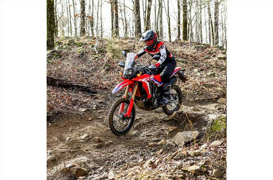 2024 Honda CRF300LRR RALLY