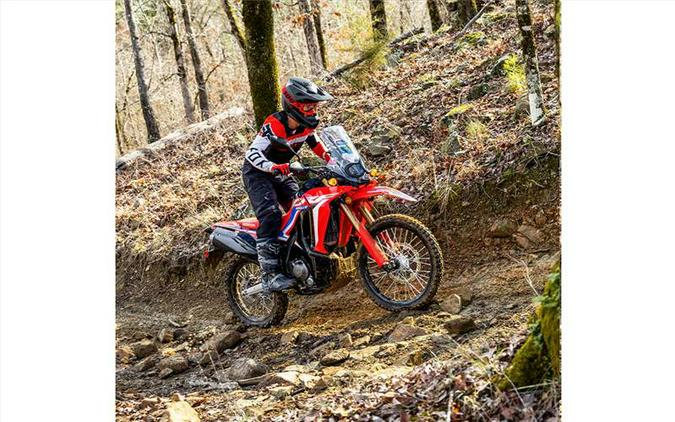 2024 Honda CRF300LRR RALLY