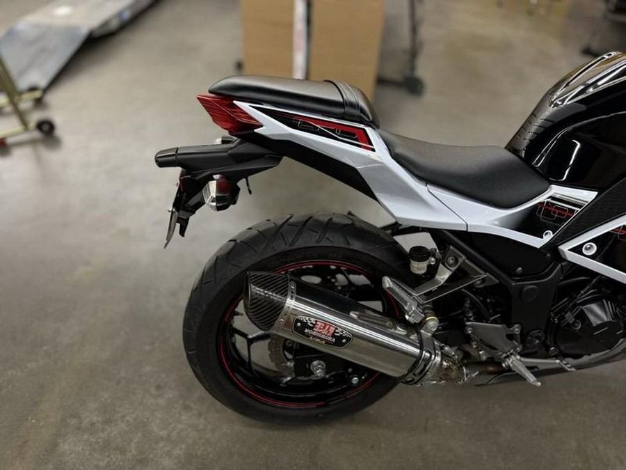 2014 Kawasaki Ninja® 300 ABS