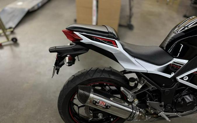 2014 Kawasaki Ninja® 300 ABS