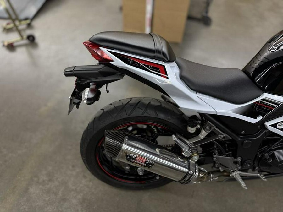 2014 Kawasaki Ninja® 300 ABS