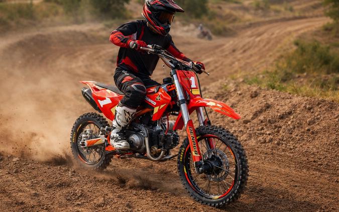 2026 DENAGO MX1 - F203003