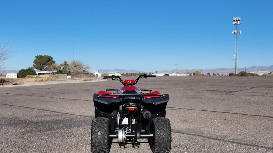 2025 Yamaha Grizzly 110