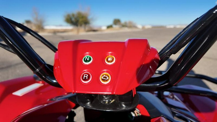 2025 Yamaha Grizzly 110