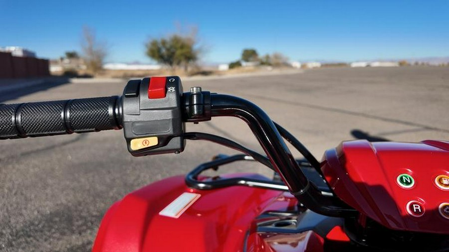 2025 Yamaha Grizzly 110