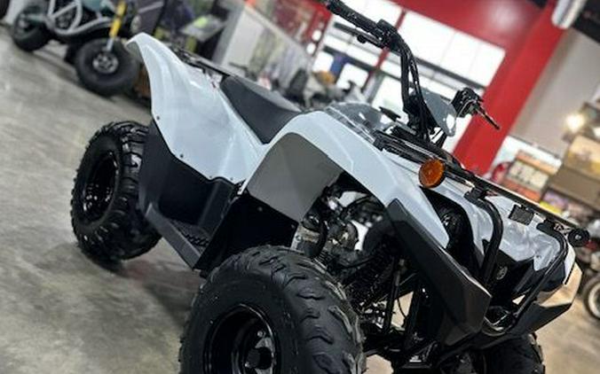 2024 Yamaha Grizzly 90