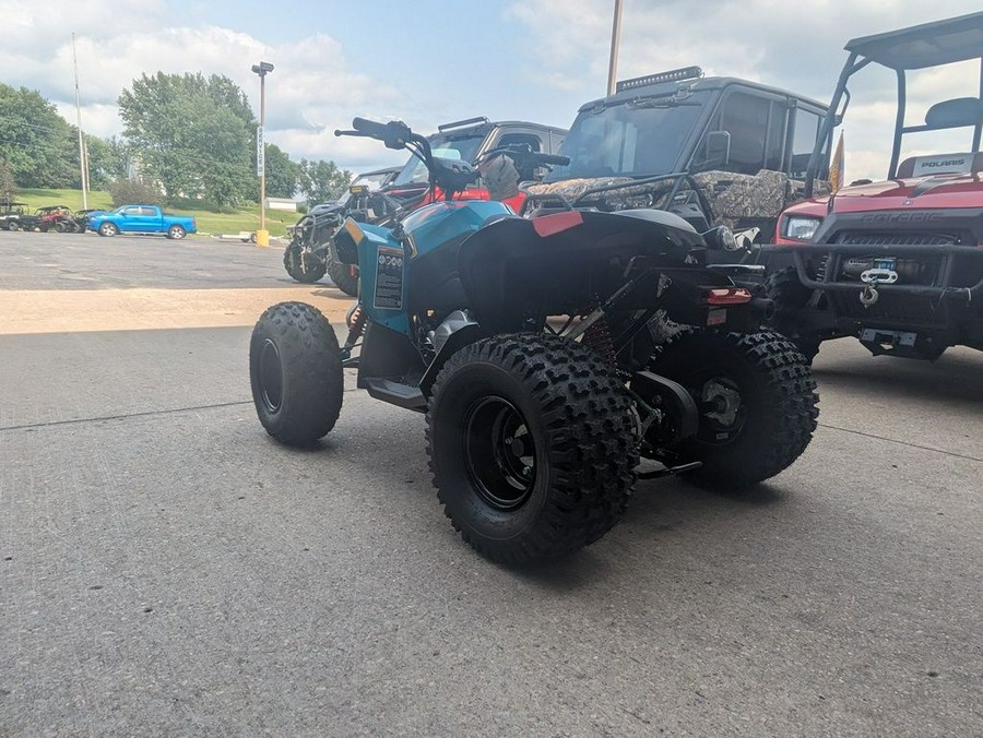 2024 Can-Am® Renegade 110 EFI