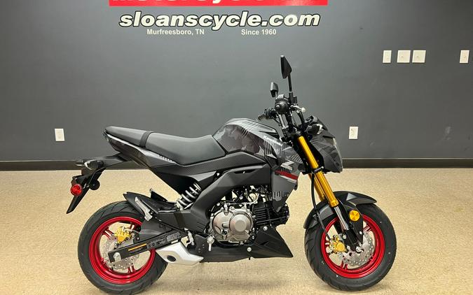 2024 Kawasaki Z125 PRO