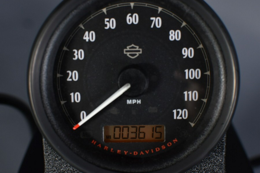 2020 Harley-Davidson Iron 883