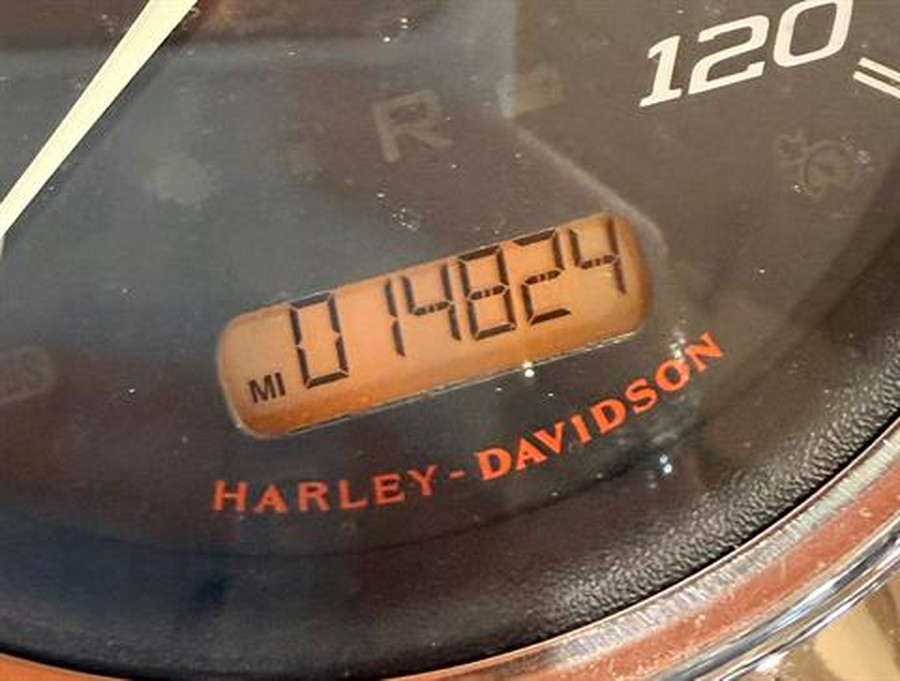 2019 Harley-Davidson Freewheeler®