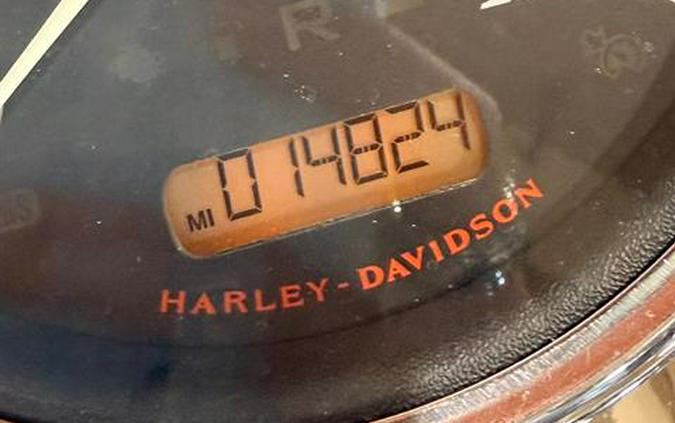 2019 Harley-Davidson Freewheeler®