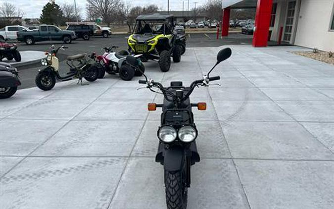 2024 Honda Ruckus