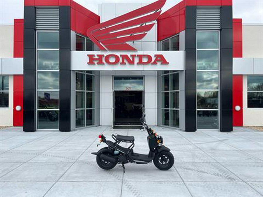 2024 Honda Ruckus