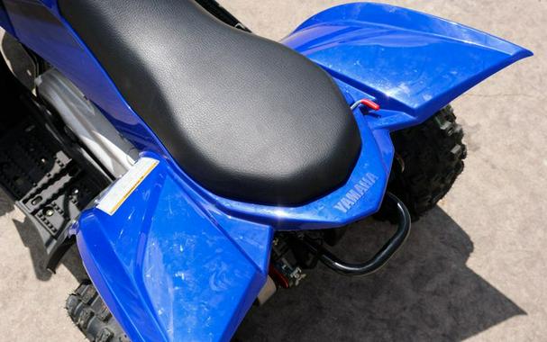 New 2025 YAMAHA YFZ50 TEAM BLUE