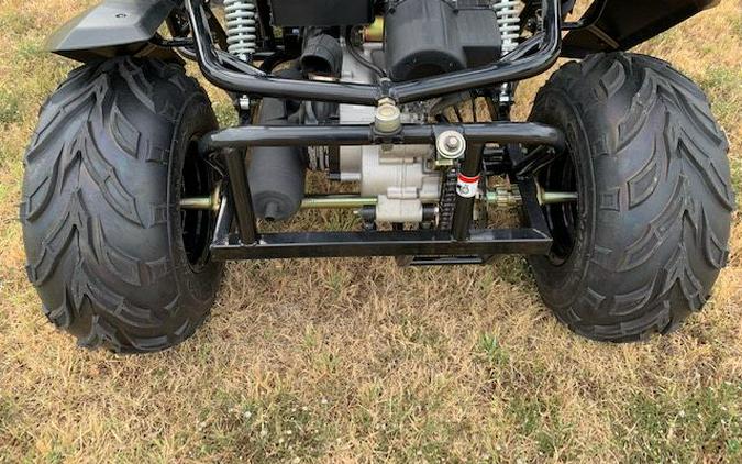 2025 Trail Master Cheetah 200