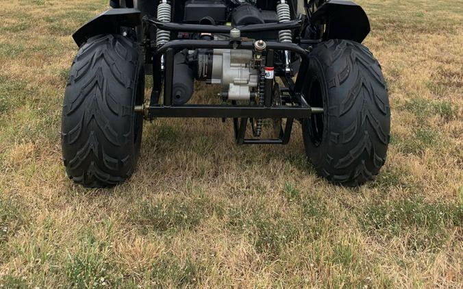 2025 Trail Master Cheetah 200