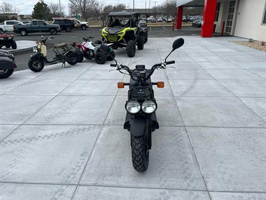 2024 Honda Ruckus