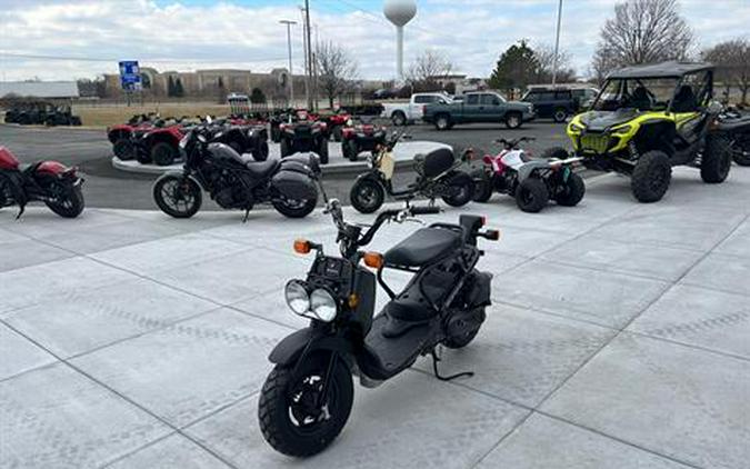 2024 Honda Ruckus