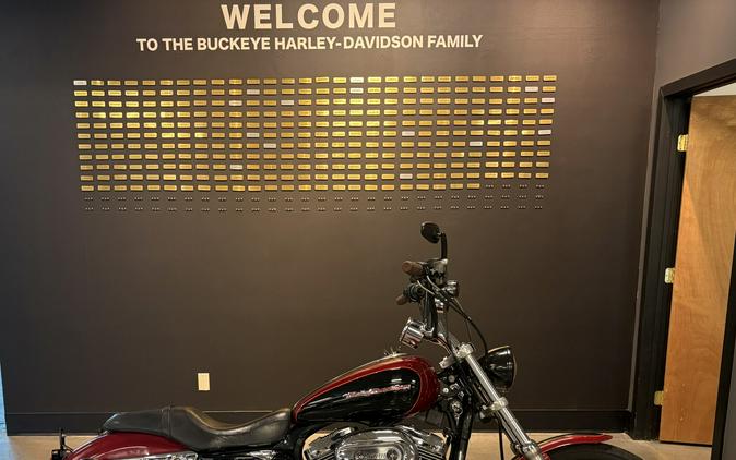2006 Harley-Davidson® 1200 Custom Black Cherry Pearl