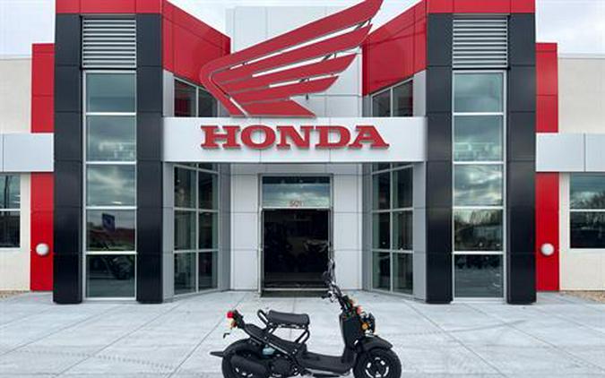 2024 Honda Ruckus