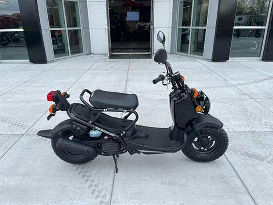 2024 Honda Ruckus