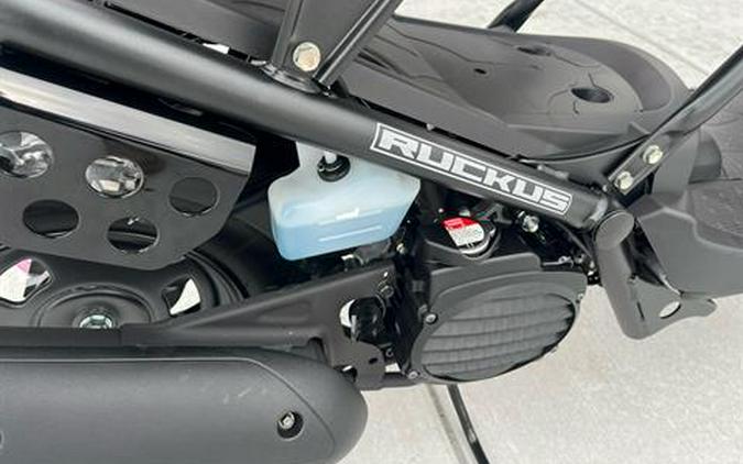 2024 Honda Ruckus