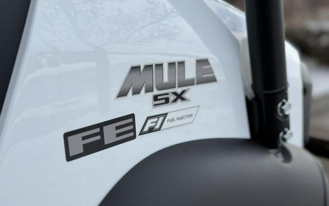 2024 Kawasaki Mule SX™ 4x4 FE