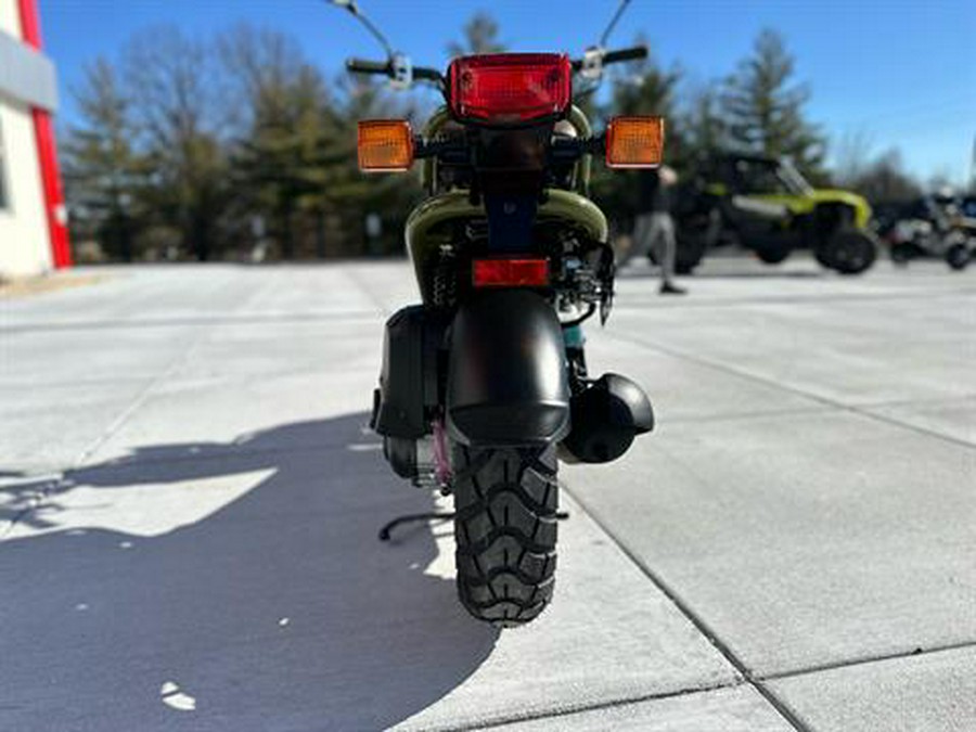 2024 Honda Ruckus