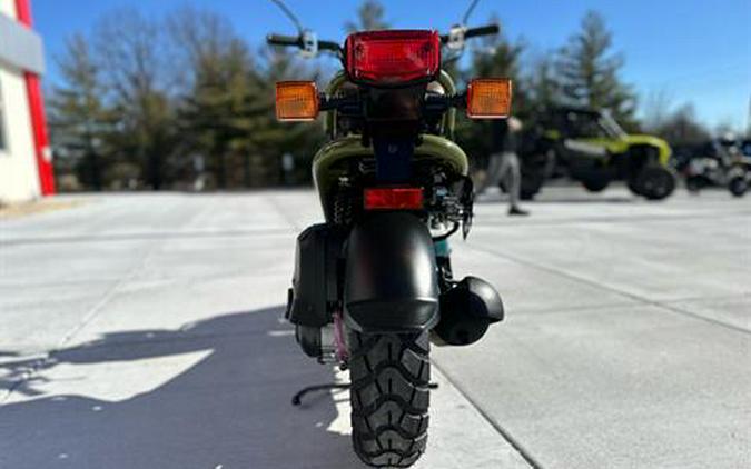 2024 Honda Ruckus