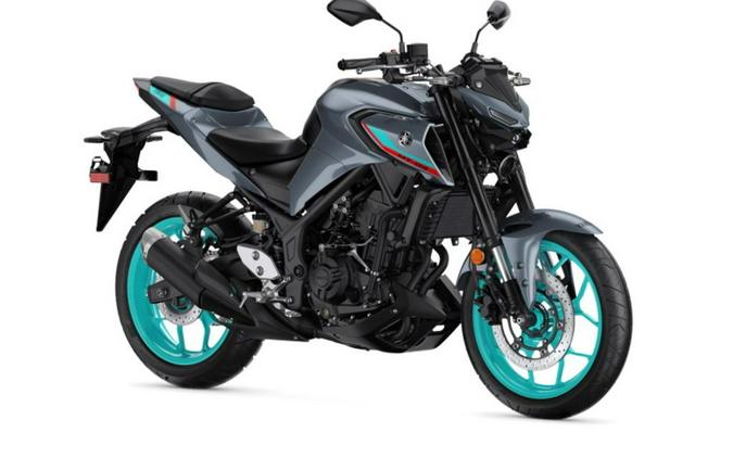 2024 Yamaha MT 03