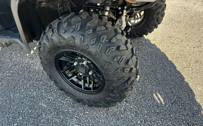 2024 Honda FourTrax Rubicon 4x4 Automatic