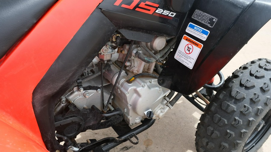 2025 CAN-AM DS 250