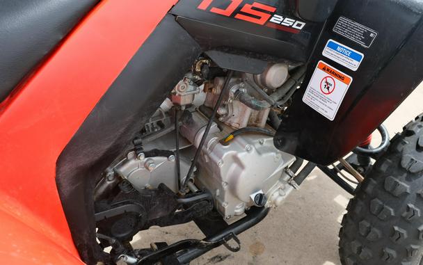 2025 CAN-AM DS 250