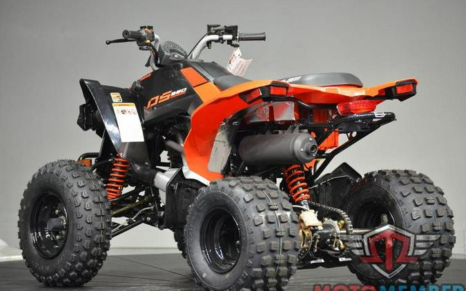2026 Can-Am DS 250