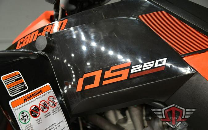 2026 Can-Am DS 250