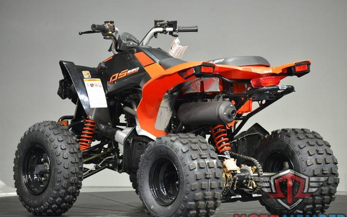 2026 Can-Am DS 250