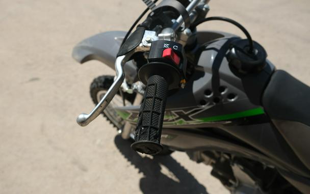 2024 KAWASAKI KLX110R L