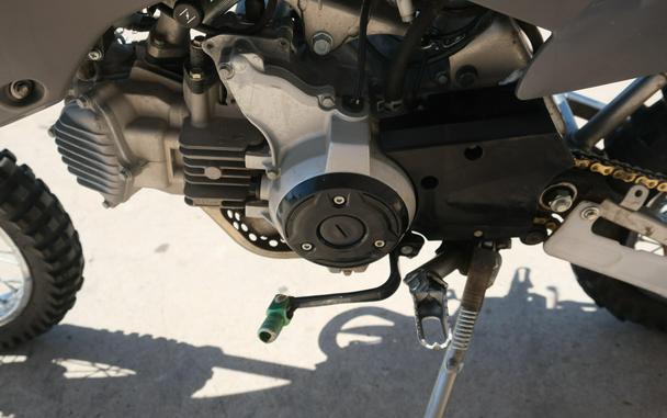 2024 KAWASAKI KLX110R L