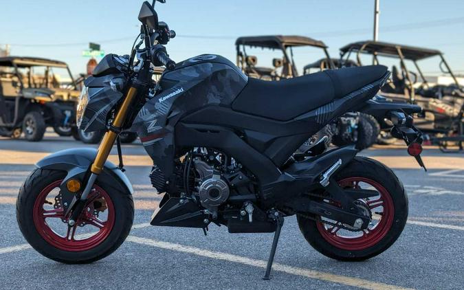 2024 Kawasaki Z125 PRO Base