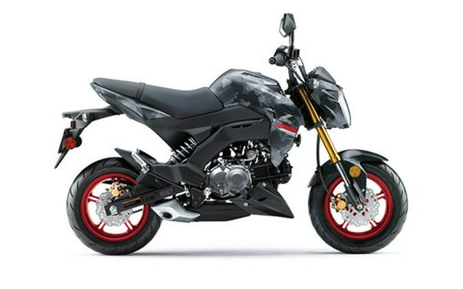 2024 Kawasaki Z125 PRO Base