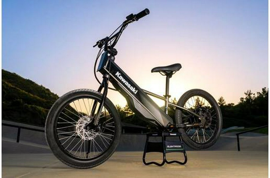 2025 Kawasaki Elektrode 20FS