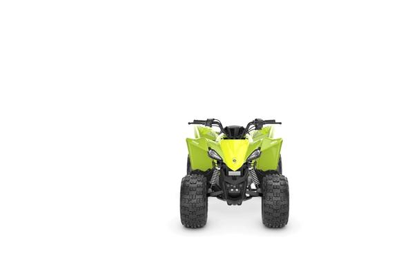 2027 Yamaha YFZ50