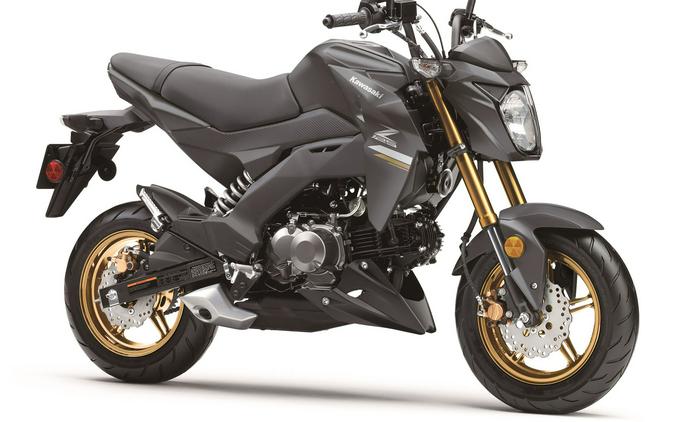 2024 Kawasaki Z125 PRO Base